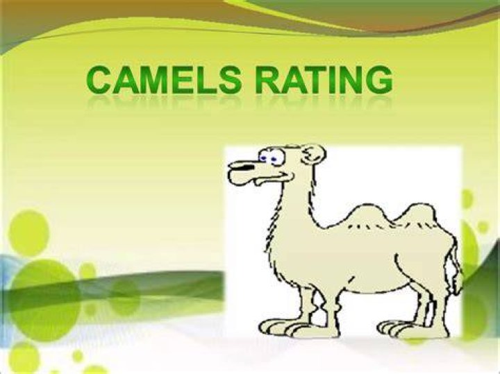 How is camel rating calculated?