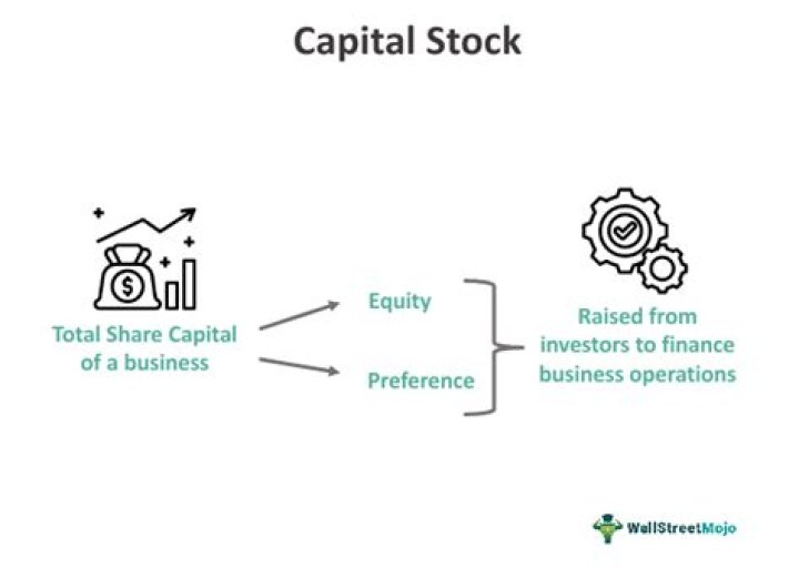 How is capital stock recorded?