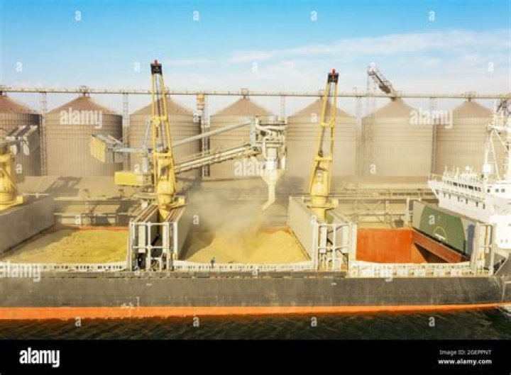 How is grain shipped overseas?