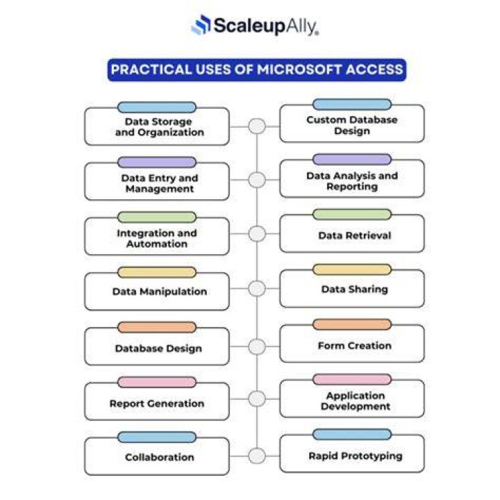 How is Microsoft Access used in business?