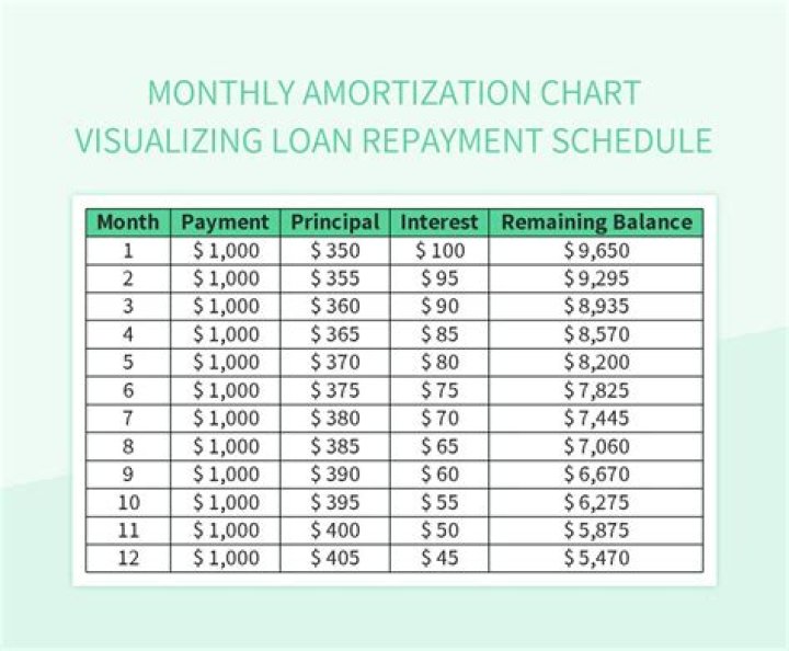How is the principal repaid in an amortizing loan?