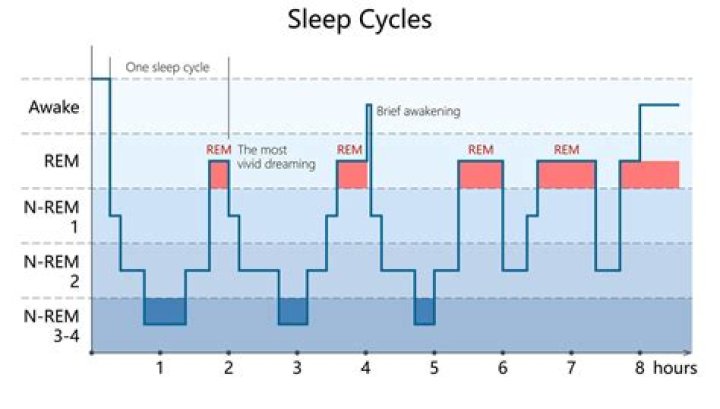 How long do most business cycles last quizlet?
