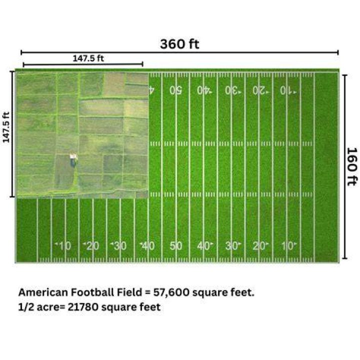 How many acres do you need for a paintball field?