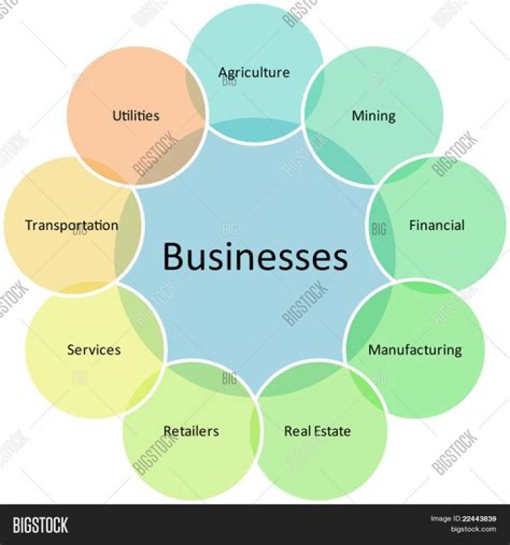 How many business types are there?