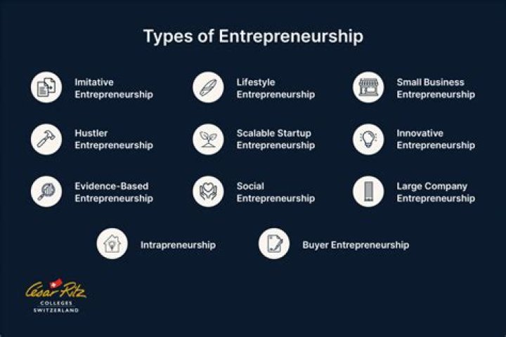 How many entrepreneurship categories are there?