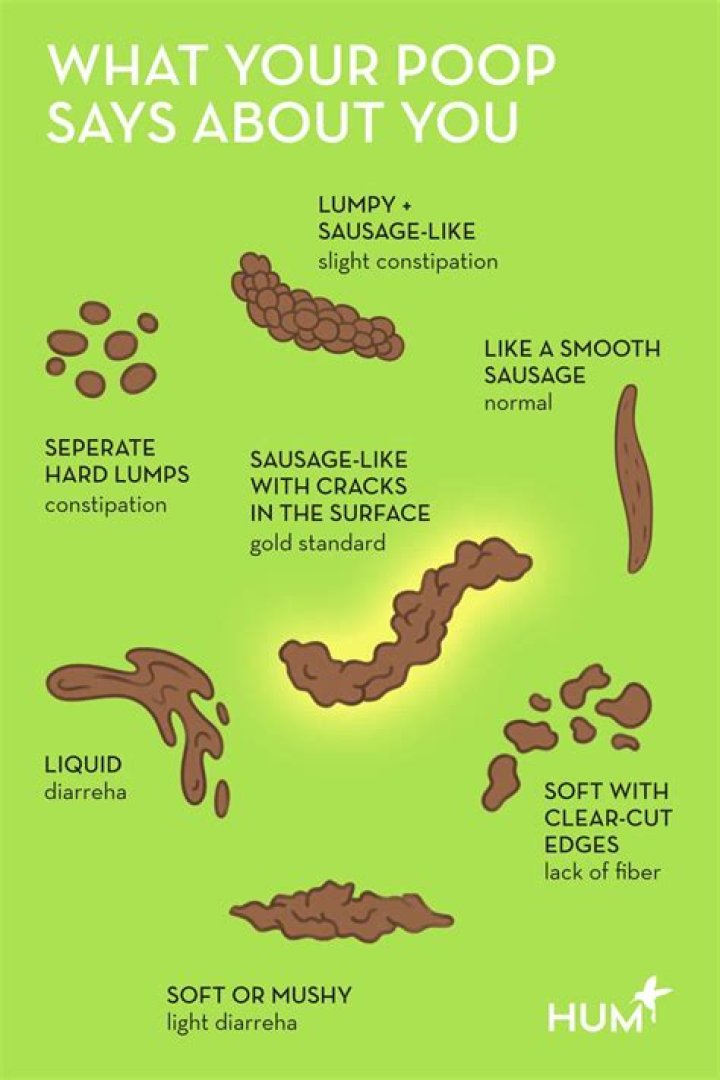 How many tons of poop does a human produce in a lifetime?