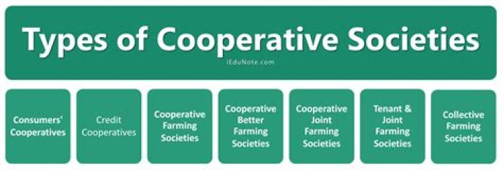 How many types of cooperative are there?