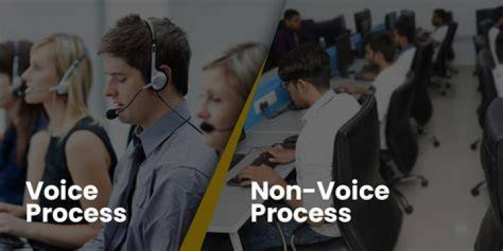 How many types of non voice processes are there?