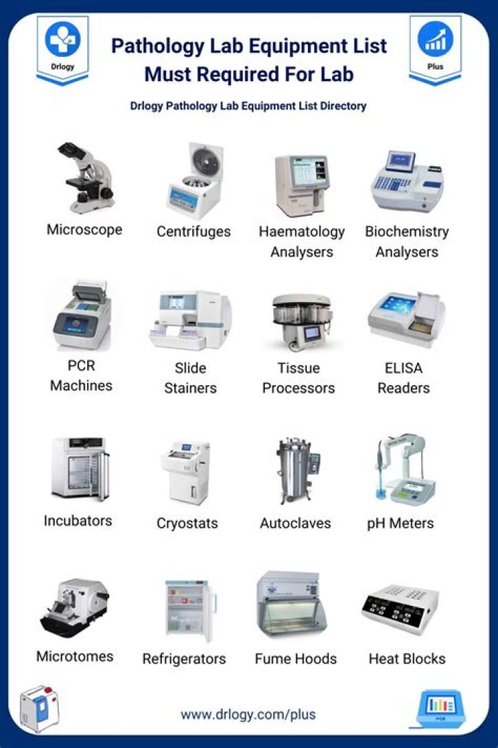 How many types of pathology are there?
