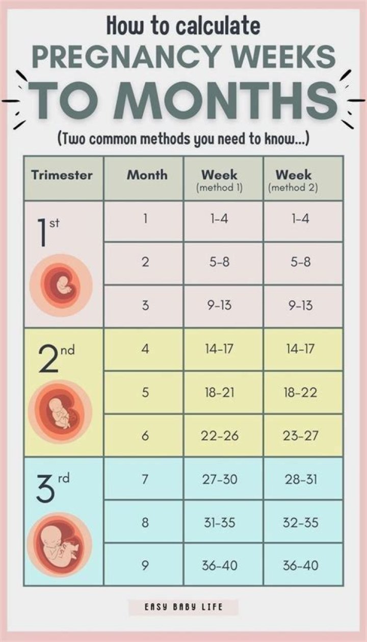 How many weeks is a 6 year old?