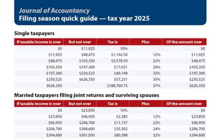 How much can a tax preparer make during tax season?
