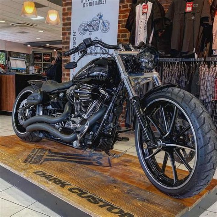 How much does a Harley Davidson 107 cost?