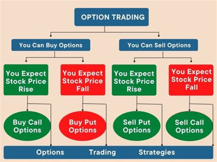 How much does it cost to buy an option contract?