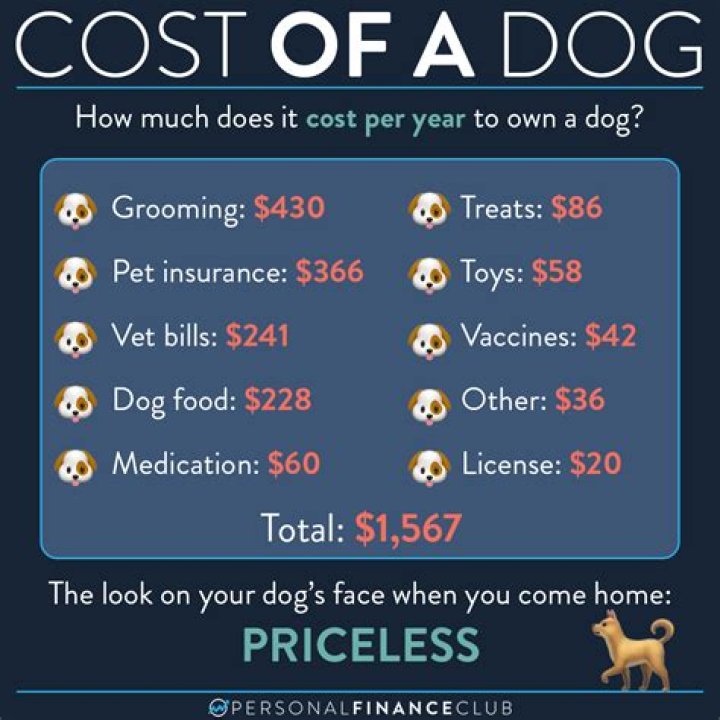 How much does it cost to manufacture dog treats?