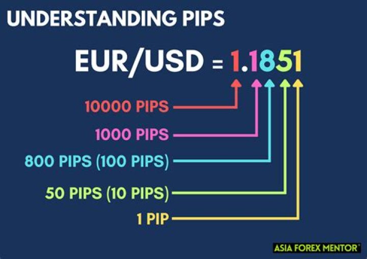 How much is 100 pips worth?
