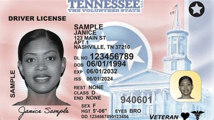 How much is a standard business license in Tennessee?