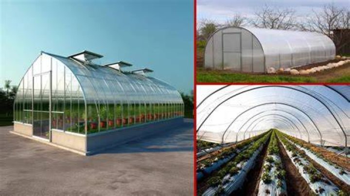 How much is the subsidy for polyhouse?