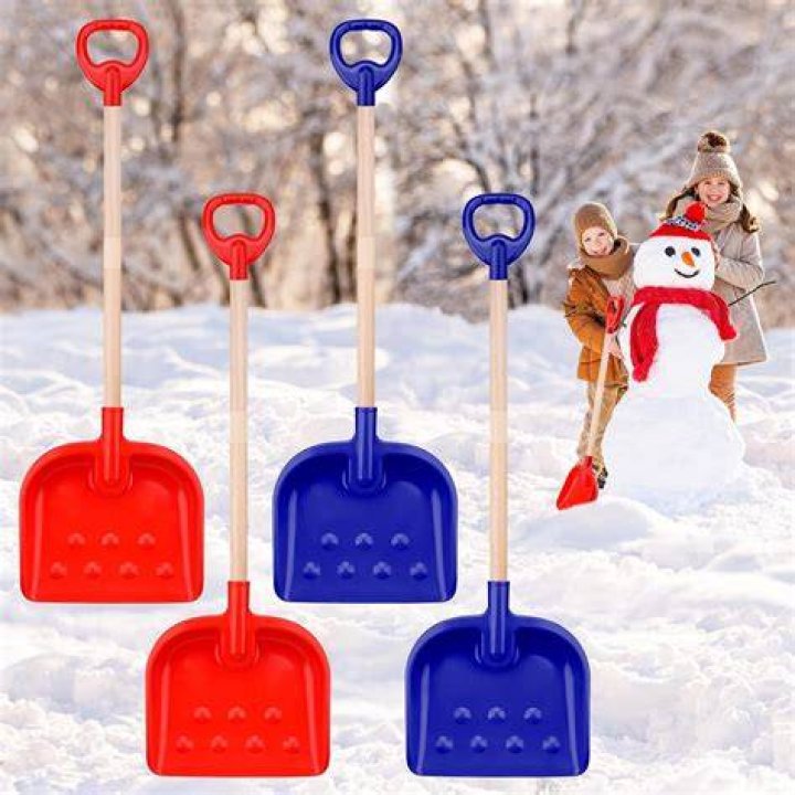 How much should you pay a kid to shovel snow?
