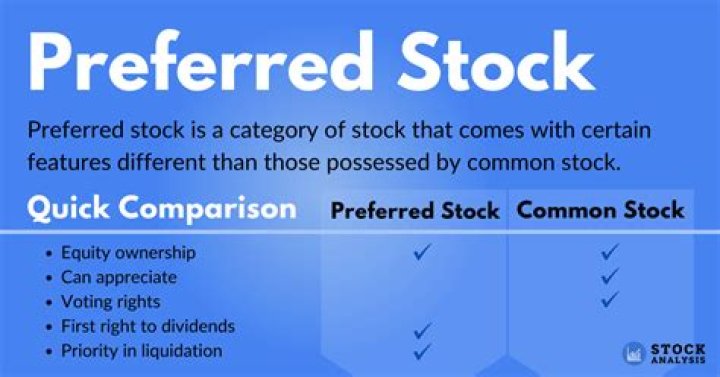 How often is preferred stock paid?