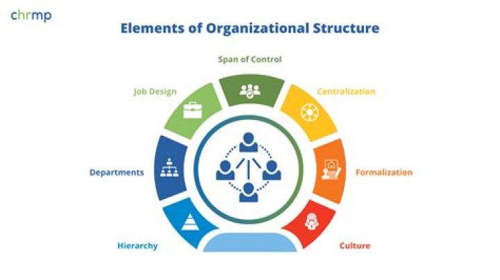 How will you apply the importance of structure in an organization?