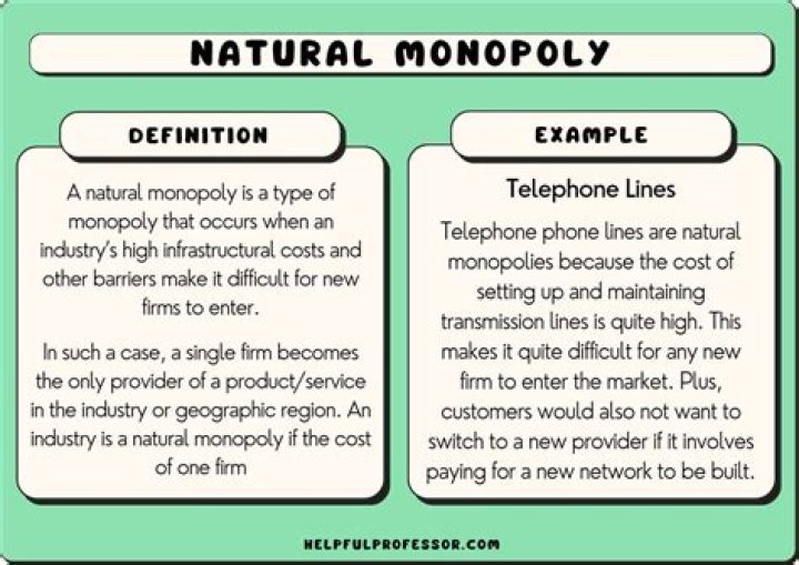 Is a natural monopoly rare?