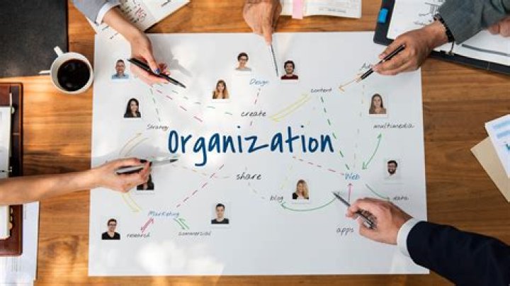 Is an organization a business?