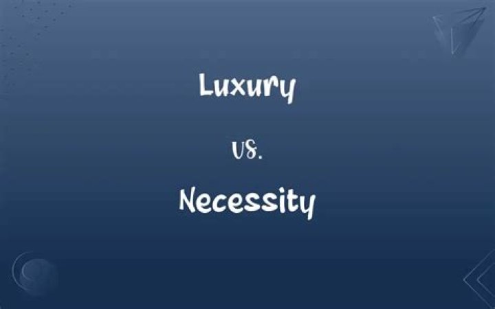 Is auditing a luxury or necessity?