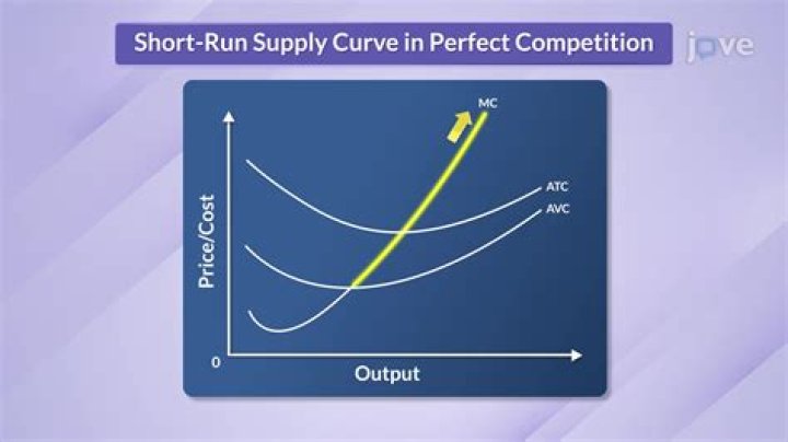 Is car manufacturing a perfectly competitive market?