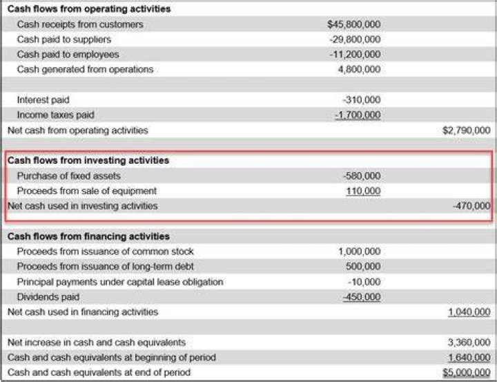 Is cash purchases an operating activity?