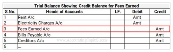 Is fees earned a debit or credit?