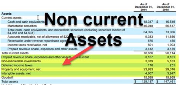Is investment a current or noncurrent asset?