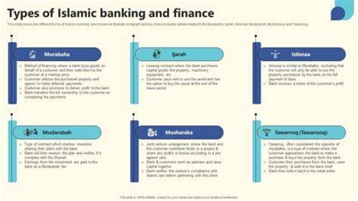 Is Islamic banking profitable?