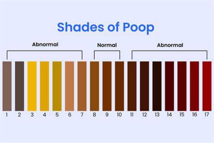 Is it dangerous to poop in the ocean?
