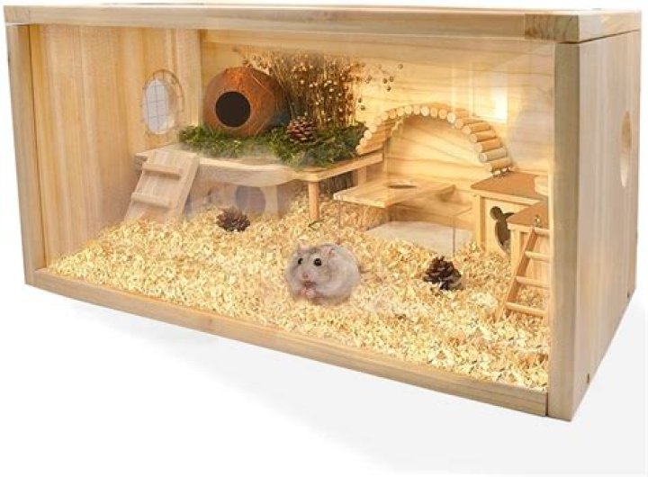 Is it OK to give a hamster pineapple?