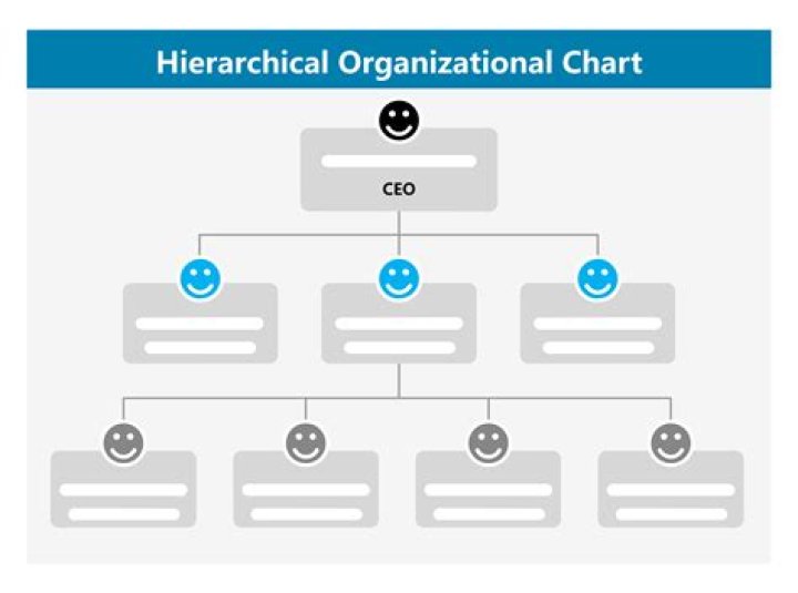 Is it really necessary for the organization to have an accounting system Why or why not?