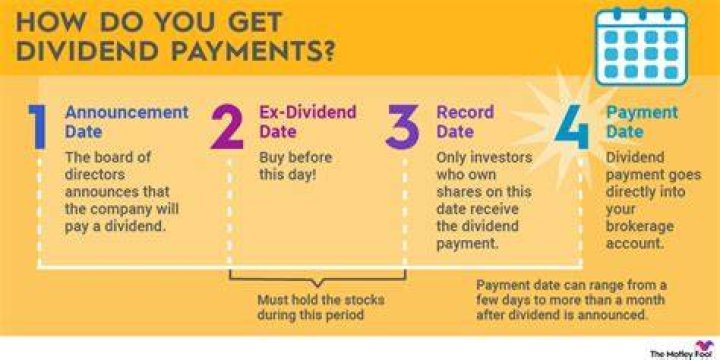 Is payment of dividends an operating activity?