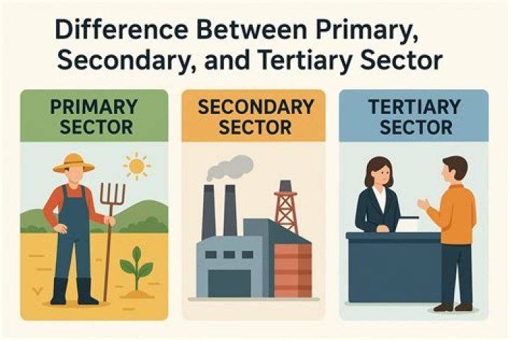 Is primary secondary or tertiary sector?