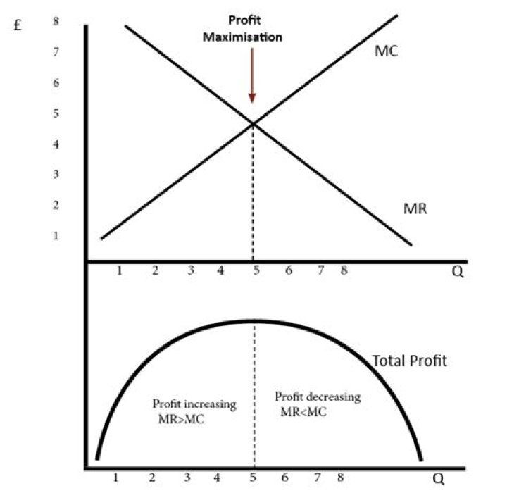Is profit maximized when total revenue equals total cost?