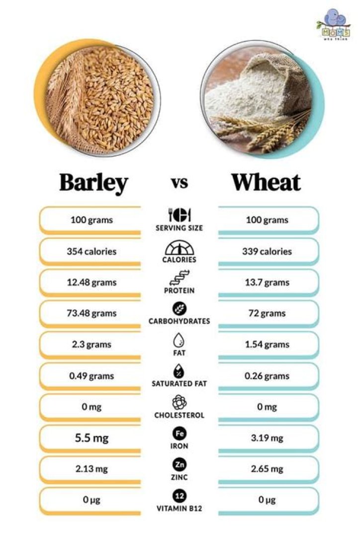 Is rye healthier than wheat?