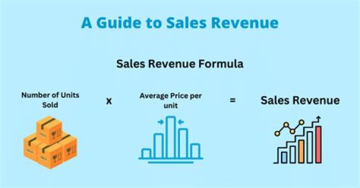 Is sales revenue an asset?