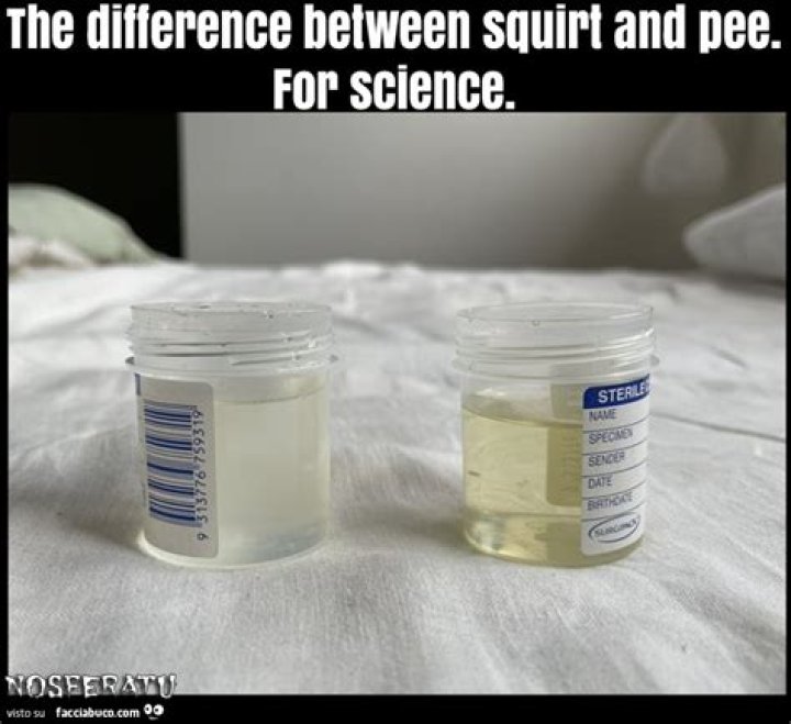 Is squirt the same thing as urine?