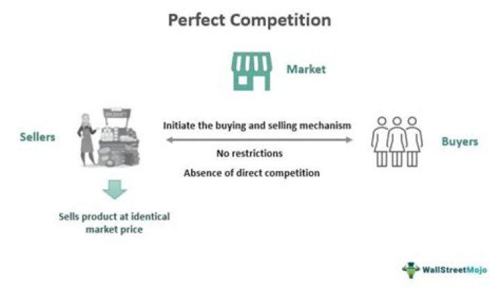 Is the automobile industry an example of perfect competition?