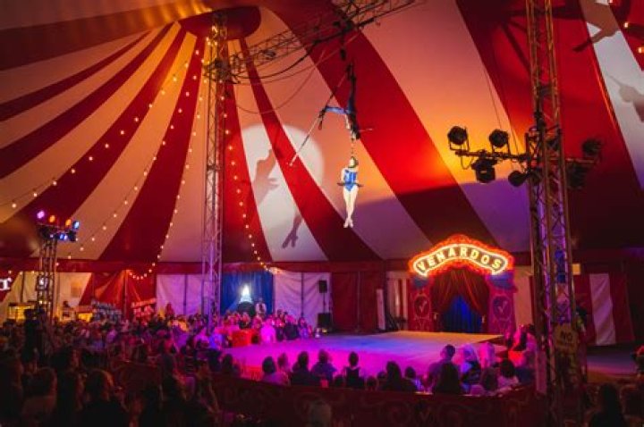Is the circus a dying industry?
