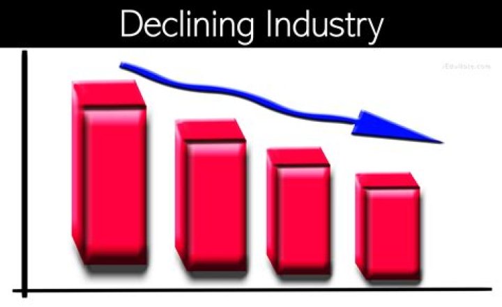 Is the fur industry declining?