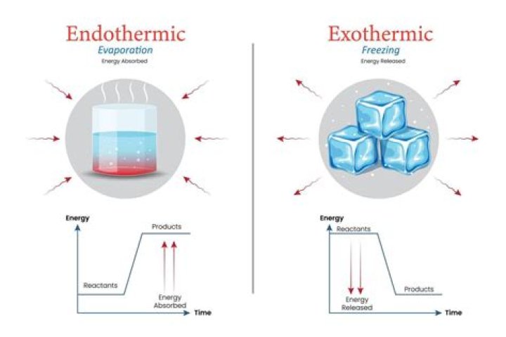 Is water exothermic or endothermic?
