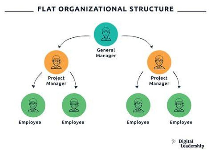 Should the focus of an organization be on the organization or on talent?