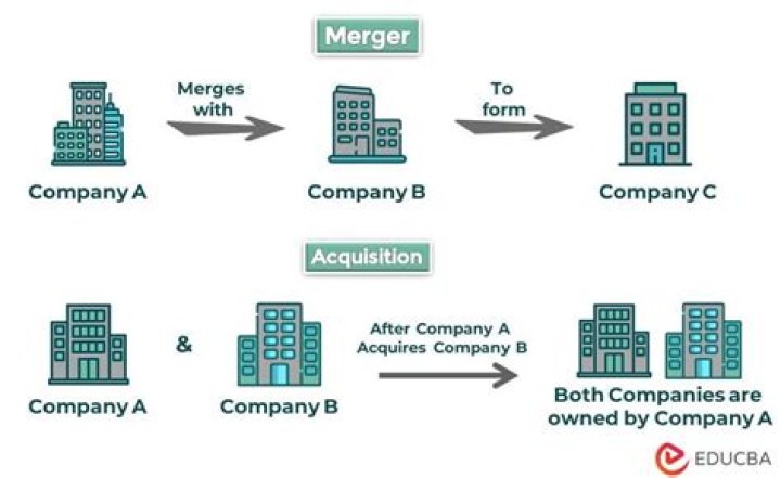 What advantages are gained through business mergers quizlet?
