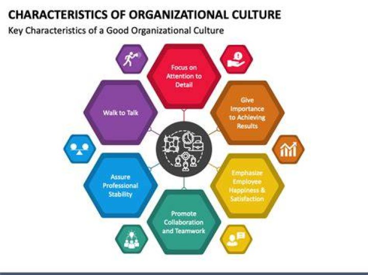 What are 3 characteristics of organizational culture?