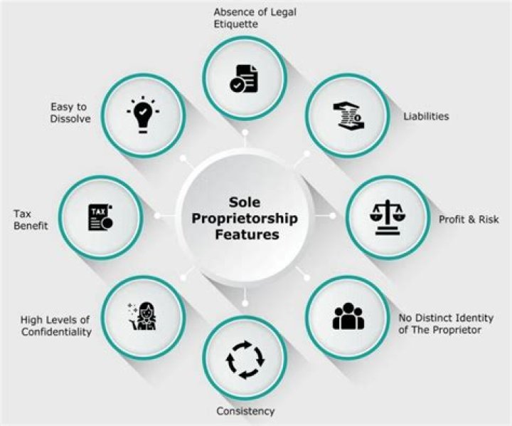 What are 3 sole proprietorship businesses?