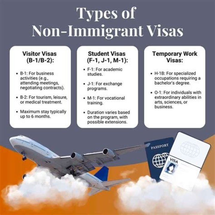 What are 3 types of non immigrant visas?